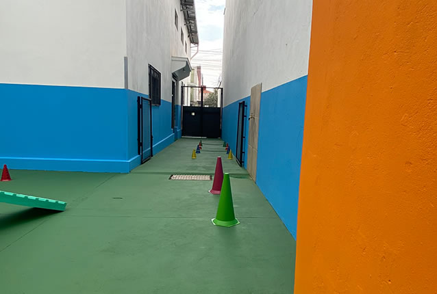 foto6